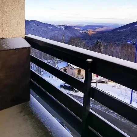 Appartement Au Pied Des Pistes De Ski - Pyrenees Montferrier Exterior foto